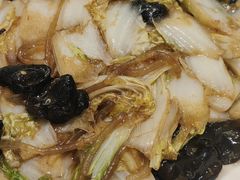 -邵年鸽(杨庄店)