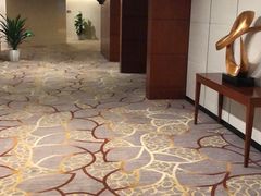 -苏州西交利物浦大学国际会议中心