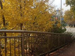 -山东大学(千佛山校区)
