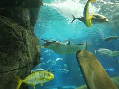 -福州罗源湾海洋世界旅游区