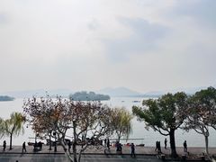 -楼外楼(西湖景区孤山路店)