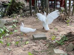 -七仙岭君澜度假酒店