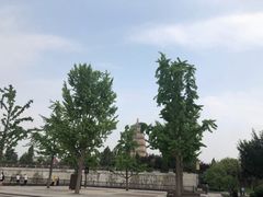 -大雁塔北广场音乐喷泉