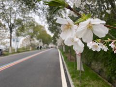-南京金牛湖风景区