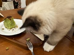 -梧桐巷咖啡厅·coffee&bar