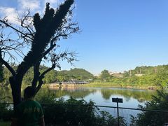 -全汁全味驴庄(凤岗店)