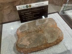 -中国西峡恐龙遗迹园