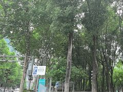 -重庆市江北嘴中央商务区中央公园