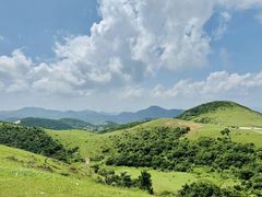 -大姆山草场