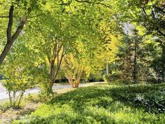 -凤凰汇购物中心