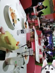 -宝燕乐园(闵行旗舰店)