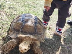 -泉州海丝野生动物世界