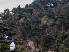-天姥山景区
