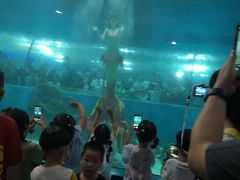 -苏州海洋馆