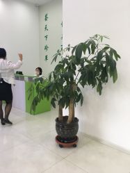 -荟草堂痘肌修护中心
