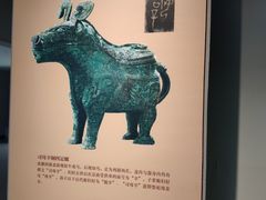 -安阳博物馆