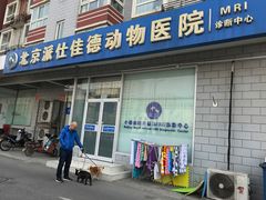 -北京派仕佳德动物医院·超导核磁·CT·神经科·骨科·内外科·急重症管理中心