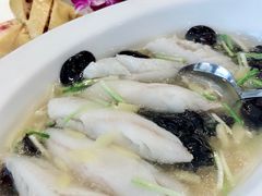 -老洋房花园饭店(绍兴路店)