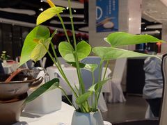 -眉州东坡(华联万柳店)