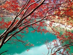 -叠溪松坪沟景区