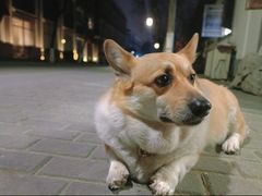 -阿木舂记·特色小吃(平江路店)