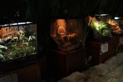 -酷嗒动物文化乐园(cutezoo西溪乐天城店)