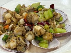 葱爆威海扇贝-威海渔村(黄兴路店)