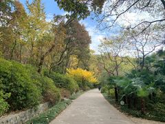 -南山风景名胜区