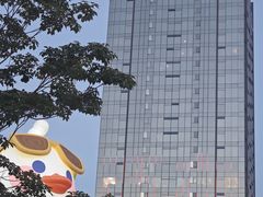 -光明港公园