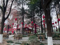 -月湖风景区