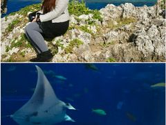 -日本大使馆-新闻文化中心