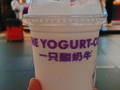 -一只酸奶牛(八一路店)