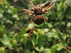 -北京鹫峰国家森林公园