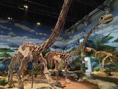 -自贡恐龙博物馆