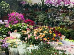 -双季花艺园艺市场(浦东店)