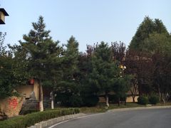 -金石唐风国际温泉会馆