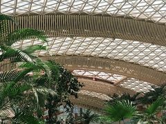 -杭州开元森泊度假乐园