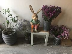-ZooYoo佐佑咖啡(鼓楼店)