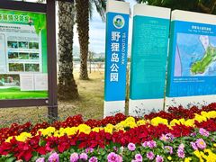 -野狸岛