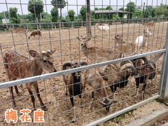 -安徽大青山野生动物世界