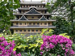-南宫五洲植物乐园