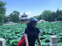-莲池书院博物馆