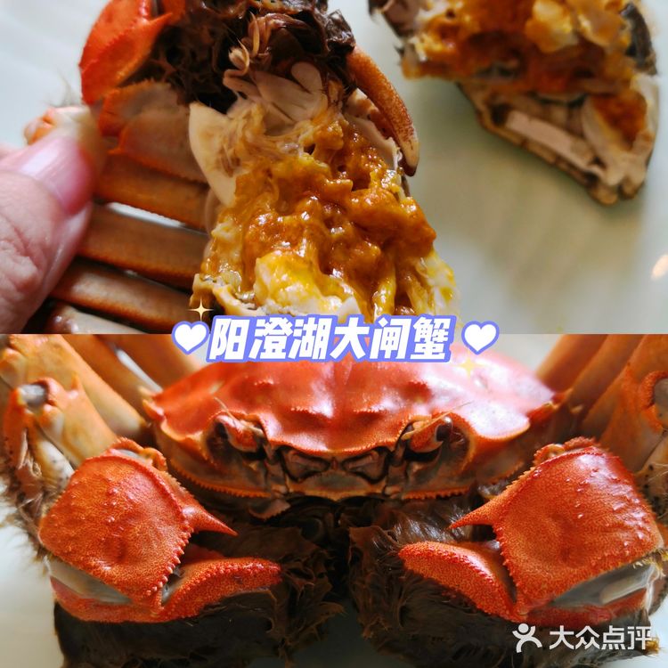 🌻苏州探店🌻巴城的大闸蟹农家乐