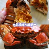 🌻苏州探店🌻巴城的大闸蟹农家乐