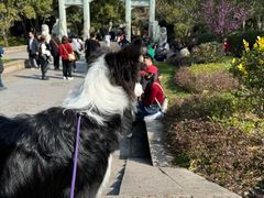 -普陀山慧济禅寺