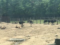 -西安秦岭野生动物园