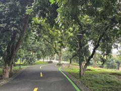 -张坝桂圆林公园