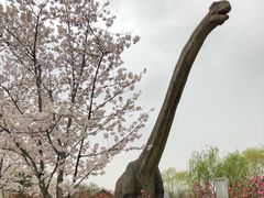 -自然谷恐龙园