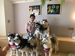 -Husky Go! 哈士奇体验馆·宠物咖啡厅狗咖