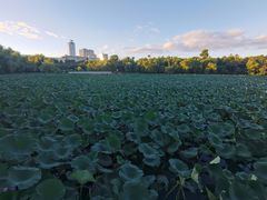 -长春市南湖公园